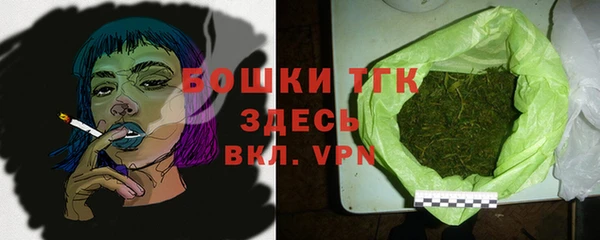 ALPHA PVP Горнозаводск