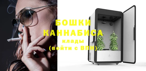 ALPHA PVP Горнозаводск