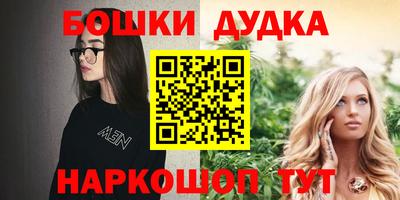 стаф Дубна