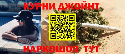 стаф Дубна