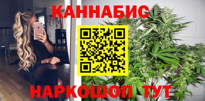 стаф Дубна