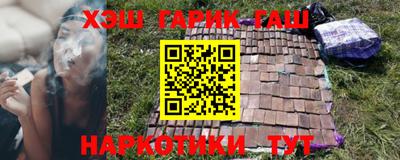 стаф Дубна