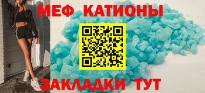 стаф Дубна