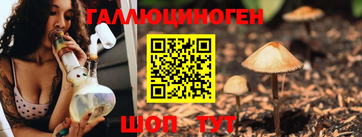 Галлюциногенные грибы мицелий  Галлюциногенные грибы Psilocybe  Каменск-Шахтинский  Вход с VPN 